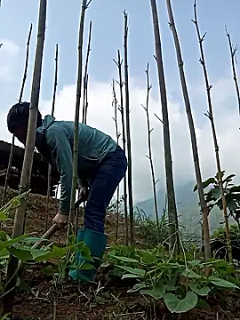 hiniyk2 - Hiniyk2's free webcam - UK Sex Cams