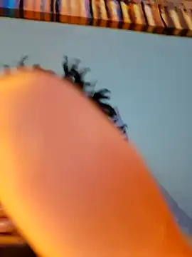 Painstickwes live cam