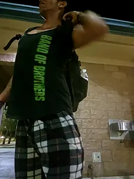 LargeDominoes webcam