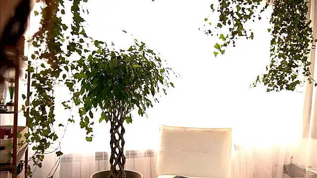 themaddisonshow_ - TheMaddisonShow_'s free webcam