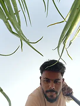 Preview of wildlife_with_devil_89