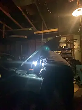 mrtattoo25 (Ask my age) - Cum hard