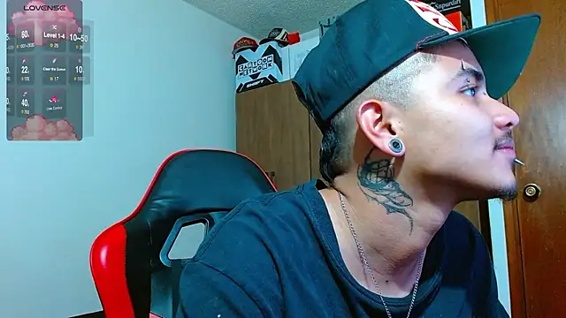 Hgp3riodictabl3 webcam