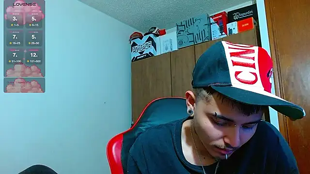 Hgp3riodictabl3 webcam