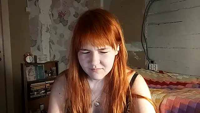 Preview of dinafirebird