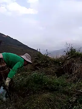 quynhkoolbae (F young) - Làm việc mong được giúp đỡ