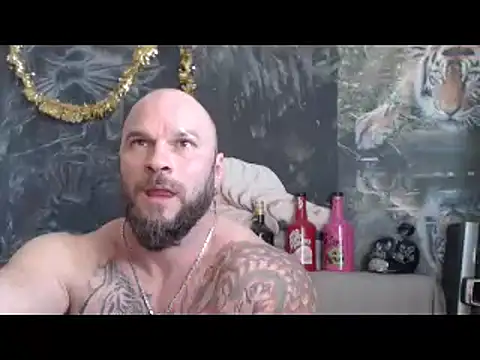 Preview of viking_30