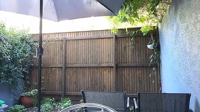 TopsyWilde live sex cam