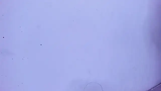 endrick-23 (M young) - Flash cock