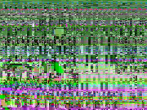 ledame (T milf) - Cum 4 in a row