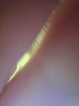 Preview of bigbog9323