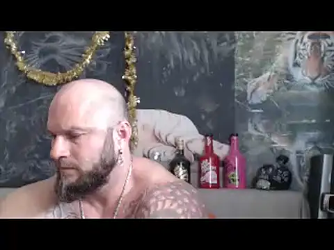 Preview of viking_30