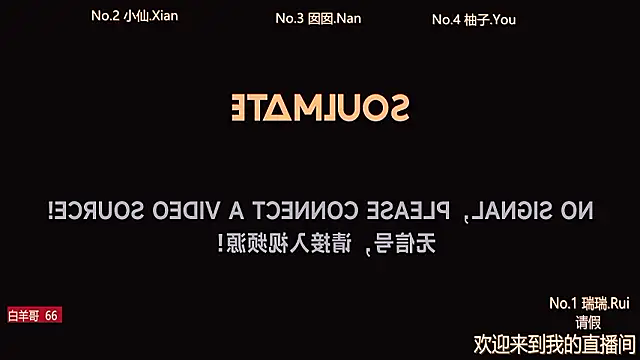 美女VIVA-002在线直播