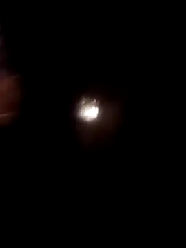 babu_bull (M twink) - 100