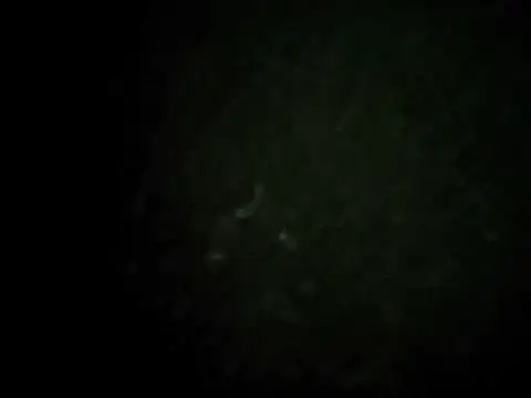 dyjdddttj (M young) - #asian #blowjob #brunettes #cam2cam #cheapest-privates #chinese #dirty-talk #double-penetration #glory-hole #hd #mobile #muscular #new #sexting #small-audience #straight #young