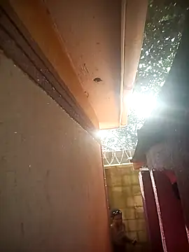 Webcam Model (Petite_li)  is live.Free join now!