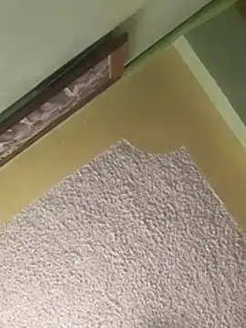 Preview of calme_odl1