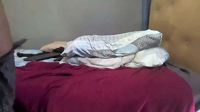 Preview of sweetslender