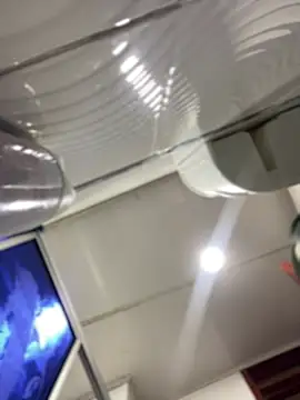 esperanza_gs (F young) - Oil show on the tits🍒🥵👏