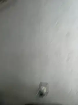 tlante - Tlante's free webcam