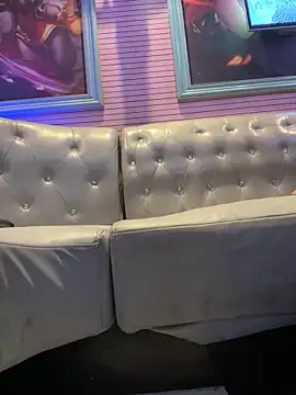 美女petoys在线直播