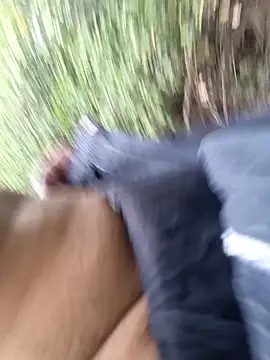 Preview of himvilohi08