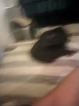 kevin613603 live sex cam