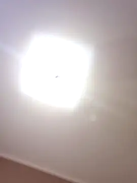 selinalovqx - SelinaLovqx's free webcam - UK Sex Cams