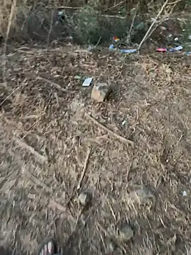 Live cam model Miss__Malaika broadcasting live