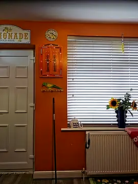 Preview of maddythemilf