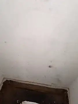 yaradayar - Yaradayar's free webcam - UK Sex Cams