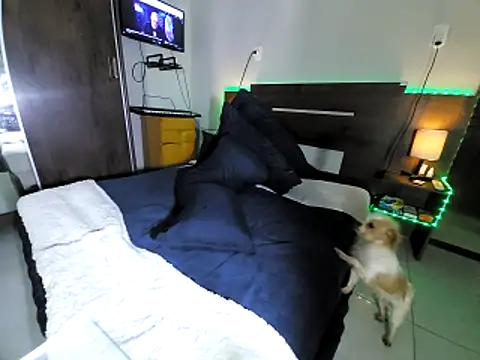 Preview of gasc_1992