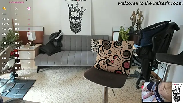 Preview of kaiser679_