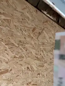 SweetCuteGirls1023 from StripChat is Freechat