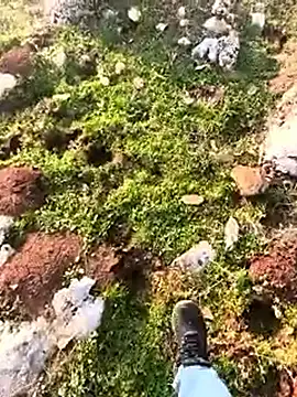 Sert_erkek21_ysm's live cam