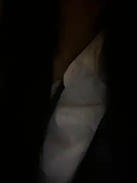 美女petoys在线直播