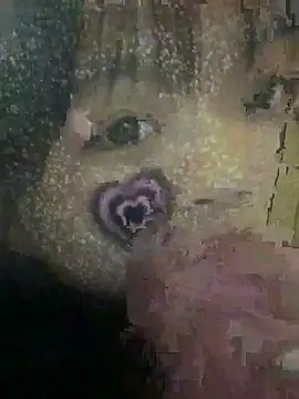 Preview of torasanta