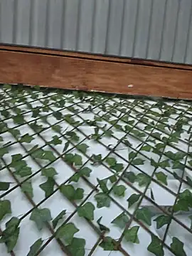 rumy_2005 (F teen) - Domi control ON MY CLIT until squirt ✨✨