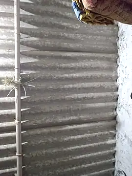 mahi_bigg (F milf) - #anal #anal-creampie #anal-doggy-style #anal-fingering #anal-fisting #anal-indian #anal-milfs #anal-petite #anal-toys #ass-to-mouth #big-ass #big-ass-anal #big-ass-creampie #big-ass-doggy-style #big-ass-indian #big-ass-milfs #big-clit #black-hair #black-hair-milfs #blowjob #blowjob-milfs #bukkake #cam2cam #camel-toe #cheapest-privates #cheapest-privates-indian #cheapest-privates-milfs #cock-rating #cooking #corset #cosplay #cosplay-milfs #cowgirl #creampie #creampie-milfs #cuckold #cuckold-creampie #cumshot #deepthroat #deepthroat-blowjob #deepthroat-milfs #dildo-or-vibrator #dildo-or-vibrator-anal #dildo-or-vibrator-deepthroat #dildo-or-vibrator-double-penetration #dildo-or-vibrator-milfs #dirty-talk #doggy-style #doggy-style-creampie #double-penetration #double-penetration-milfs #erotic-dance #facesitting #facial #fingering #fingering-indian #fingering-milfs #fisting #fisting-indian #fisting-milfs #flashing #foot-fetish #foot-fetish-milfs #footjob #gagging #hd #hindi #indian #indian-milfs #milfs #mobile #mobile-milfs #most-affordable-cam2cam #petite #petite-indian #petite-milfs #romantic #romantic-indian #romantic-milfs #sexting