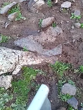 murokkk31 (M young) - #big-cocks #cam2cam #cheap-privates #ejaculation #glamour #handjob #massage #mobile #muscular #outdoor #redheads #white #young