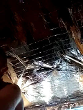 Preview of letmeliqu