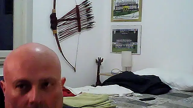 Preview of alexis_bull