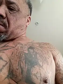 yellowwetfox live cam