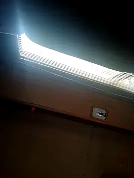 ShawnandDani7074 webcam