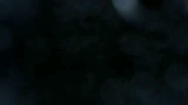 0815lukas2024 (Ask my age) - 5min doggystyle ohne kommen