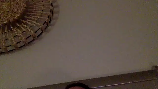 Preview of kungfupanda001