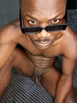 petrossa (M young) - Future plan