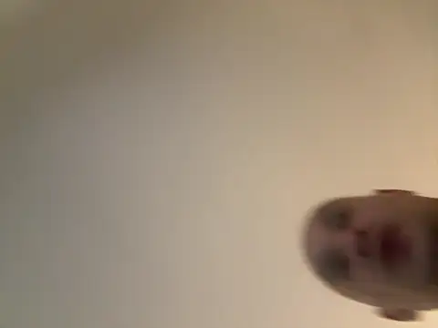 eatmycake831 (Ask my age) - Tuition for trade school