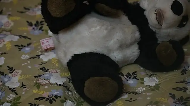 -ayeshasinghania- - -AyeshaSinghania-'s free webcam - UK Sex Cams