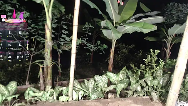 esmeralda_li - Esmeralda_li's free webcam - UK Sex Cams